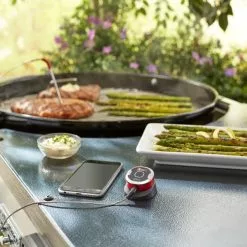 Weber IGrill Mini - Termometer -Billig Weber Butik 7220 3