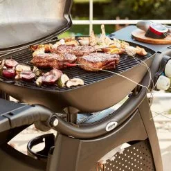 Weber Q3200 Gasolgrill -Billig Weber Butik weber q 3200 57010084 36007 5